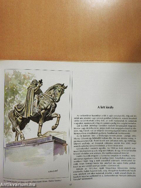 Lépten-nyomon a régi Fehérváron