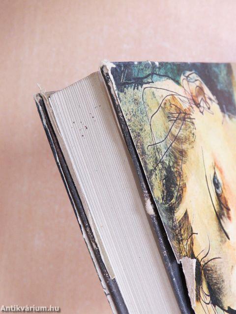 Odessza katakombáiban