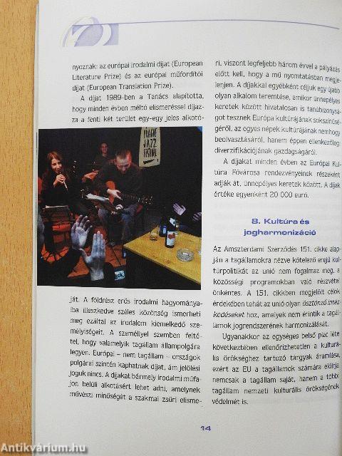 A magyar EU-tagság és a kultúra