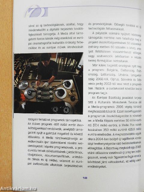 A magyar EU-tagság és a kultúra