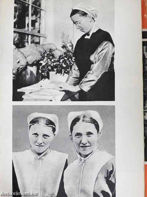 Levelek Tennessee-ből