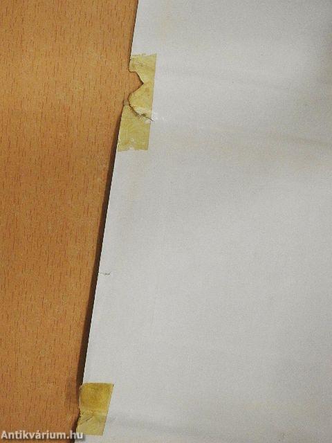 Francia irodalmi szalonok