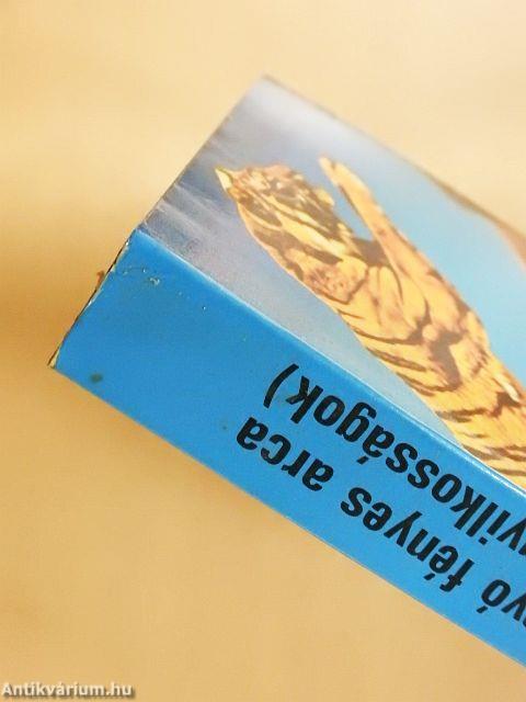 Holdanyó fényes arca