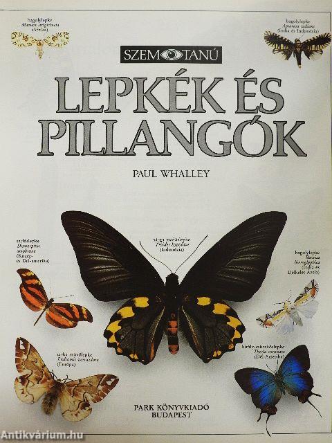 Lepkék és pillangók