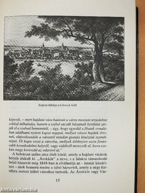 Reformkori magyar városrajzok