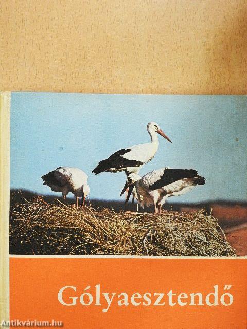 Gólyaesztendő