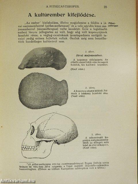 Az őskori és ókori orvostudomány