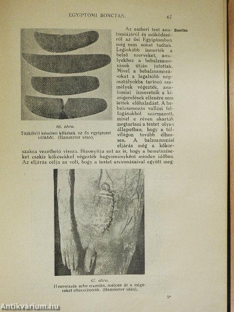 Az őskori és ókori orvostudomány