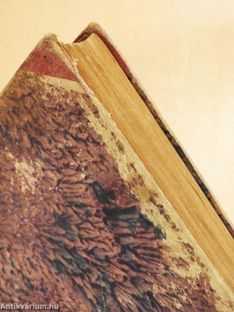 Rózsafűzér királynéja 1935. (nem teljes évfolyam)