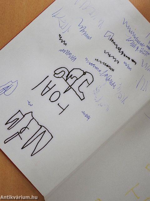 Telizsák és fenyőág