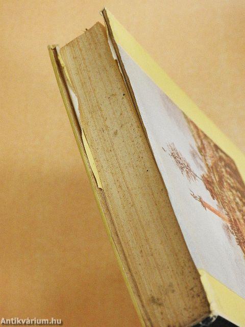 Népi mozgalom és forradalmi kormány Franciaországban