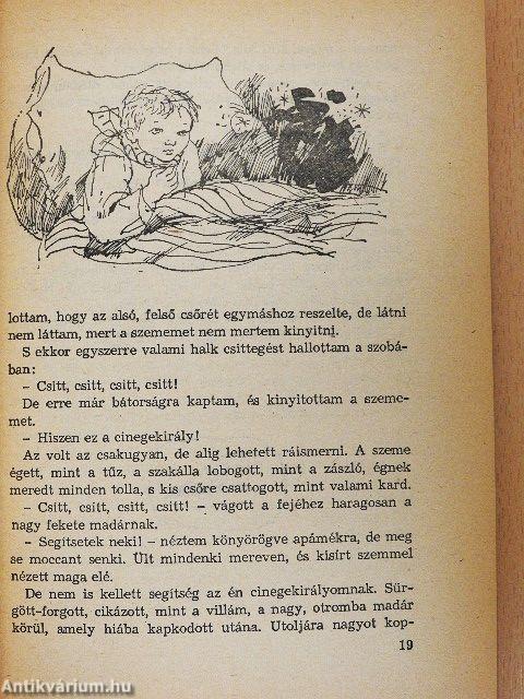 Kincskereső kisködmön