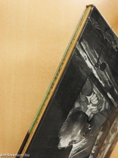 Ecsettel és irónnal