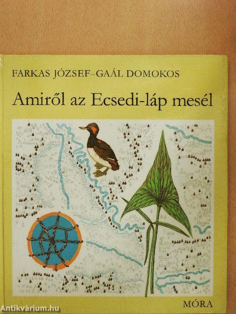 Amiről az Ecsedi-láp mesél