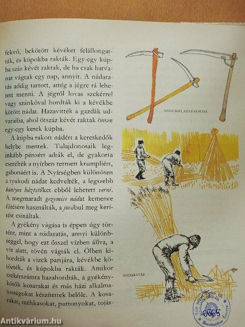 Amiről az Ecsedi-láp mesél