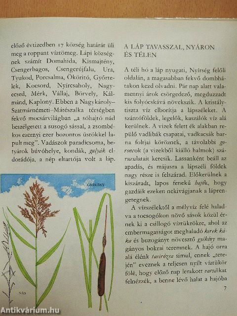 Amiről az Ecsedi-láp mesél