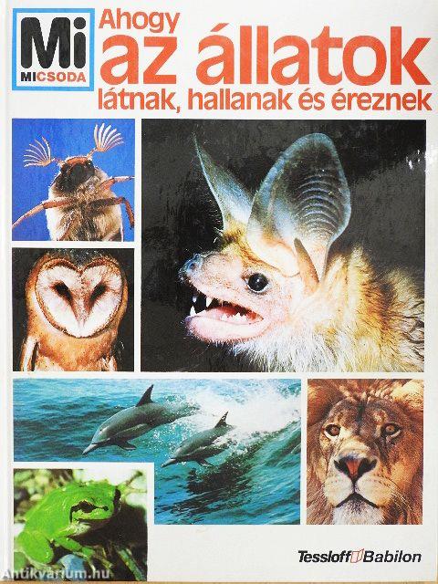 Ahogy az állatok látnak, hallanak és éreznek