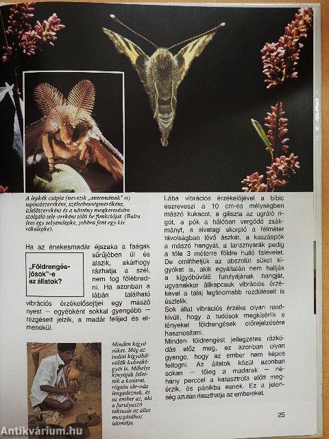 Ahogy az állatok látnak, hallanak és éreznek