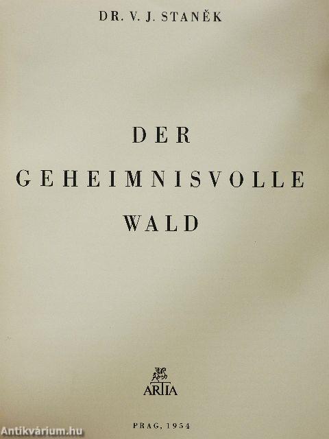 Der Geheimnisvolle Wald