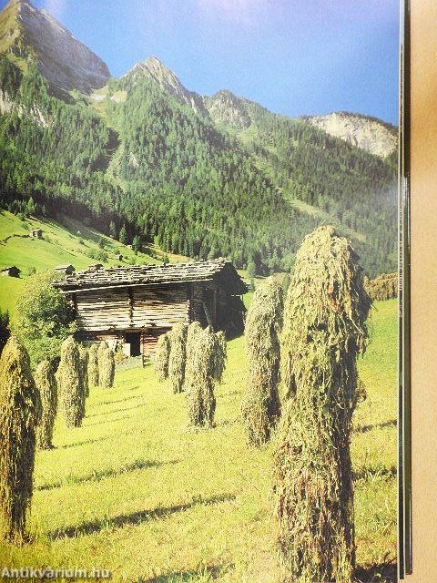 Die Traumstraßen Europas