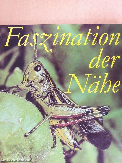 Faszination der Nähe