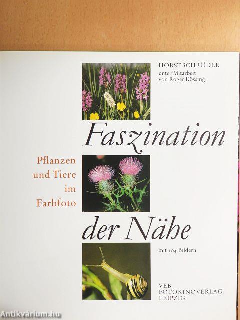 Faszination der Nähe