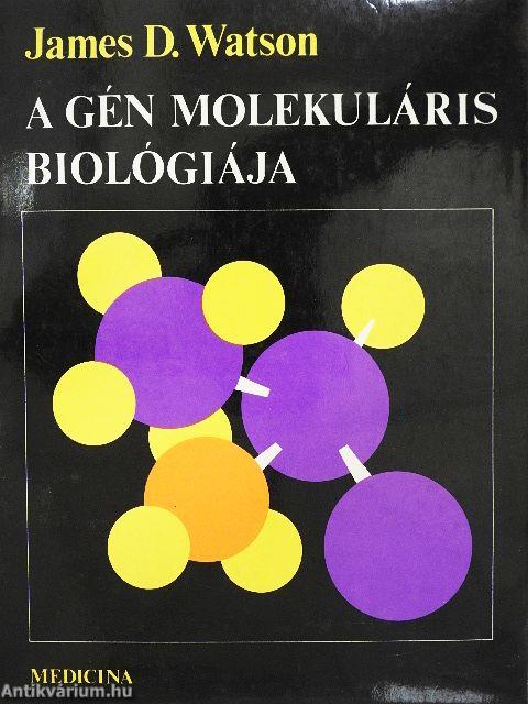 A gén molekuláris biológiája