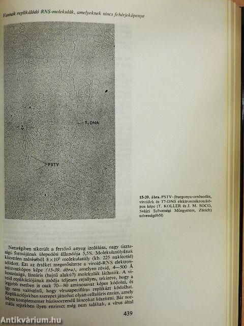 A gén molekuláris biológiája