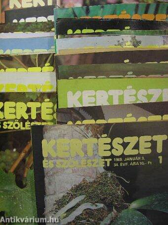 Kertészet és Szőlészet 1983-1985. (vegyes számok 35 db)/Kertbarát Magazin 1981. Ősz-Tél