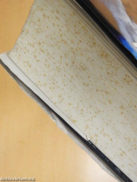 Albert Speer küzdelme az igazsággal