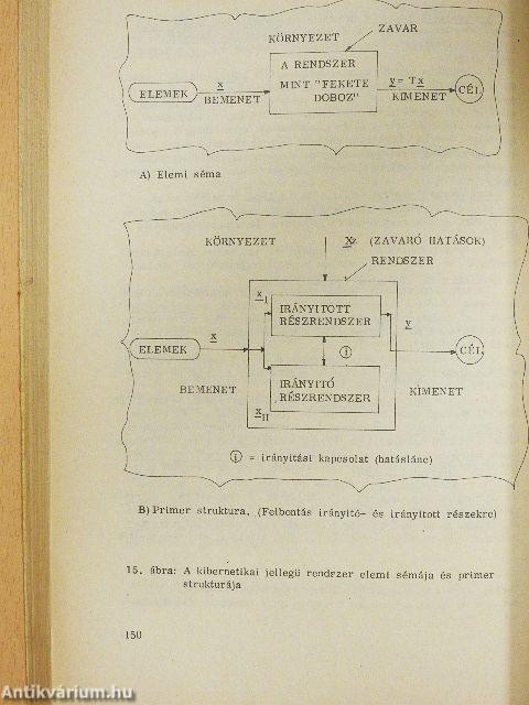 Vállalati rendszer- és gazdaságtan