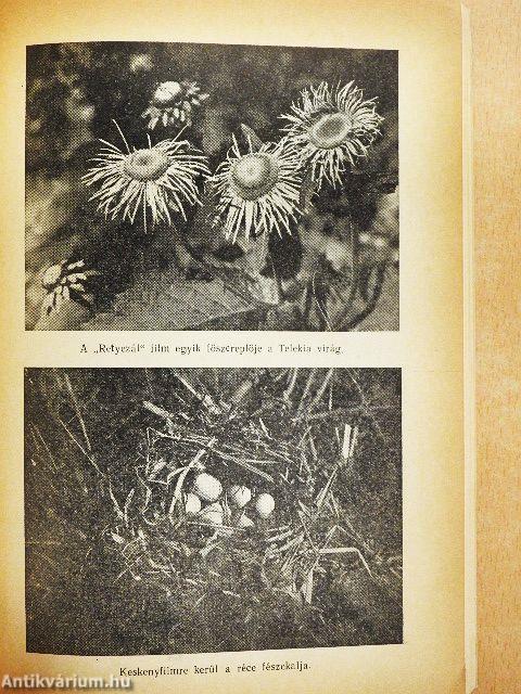 Tündérszép tájakon