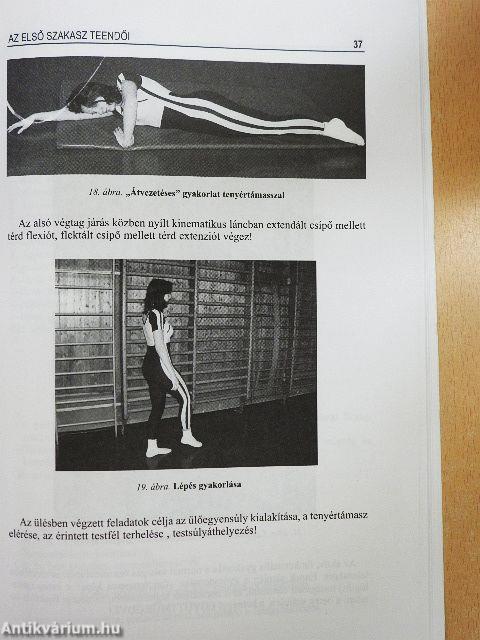 A stroke betegek rehabilitációja