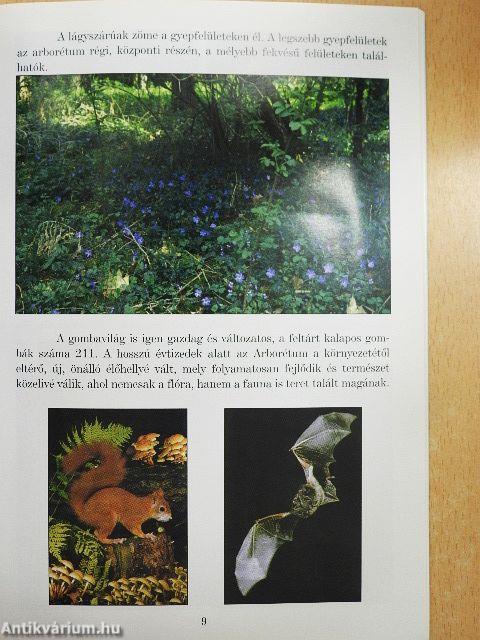 Szarvasi Arborétum
