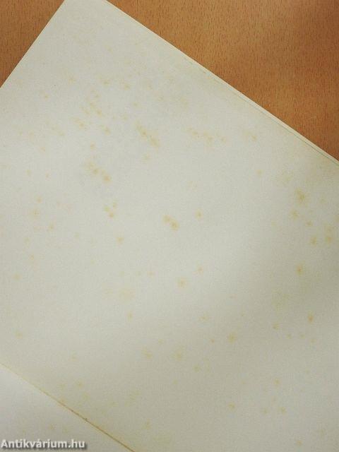 Alekszandr Rodcsenko