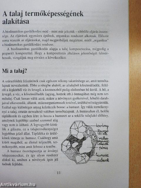 Biodinamikus szemléletű kertész vagyok