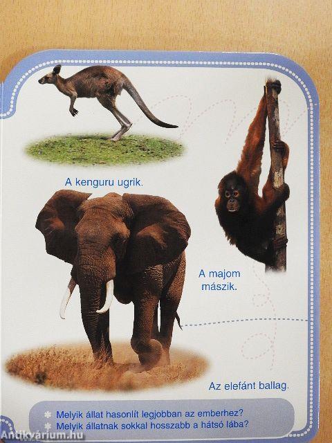 Hogyan mozognak az állatok?