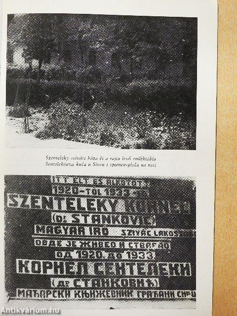 Szenteleky Kornél/Kornel Senteleki