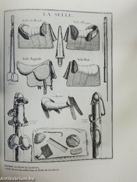 Das große Buch der Spanischen Hofreitschule