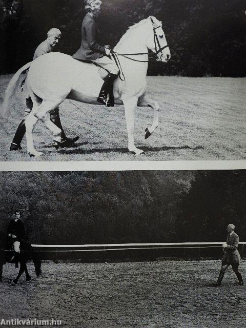 Das große Buch der Spanischen Hofreitschule