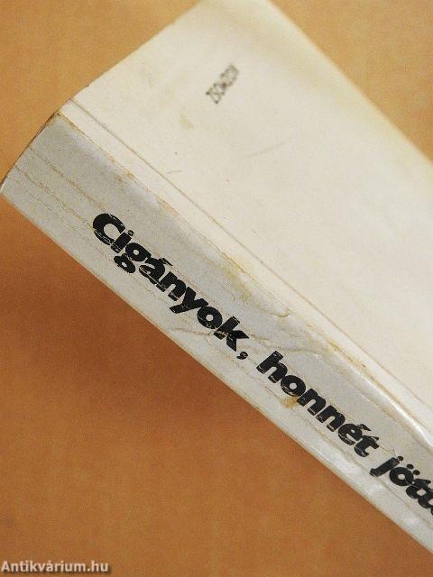 Cigányok, honnét jöttek - merre tartanak?