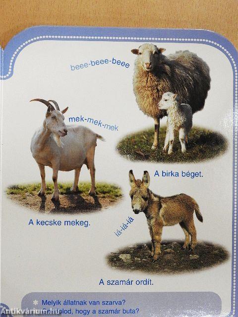 Mit mondanak az állatok?