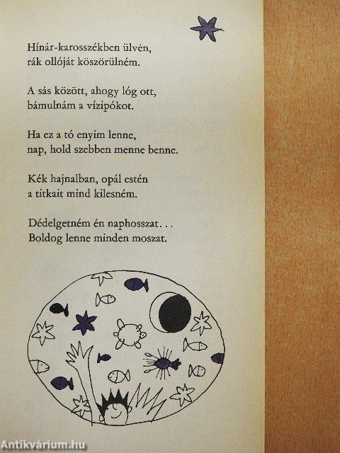 Tengerecki hazaszáll