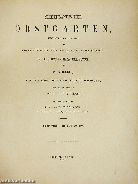 Niederländischer Obstgarten II.