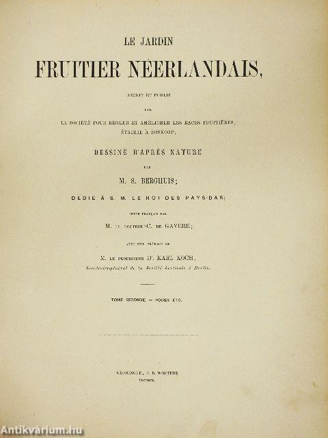 Niederländischer Obstgarten II.