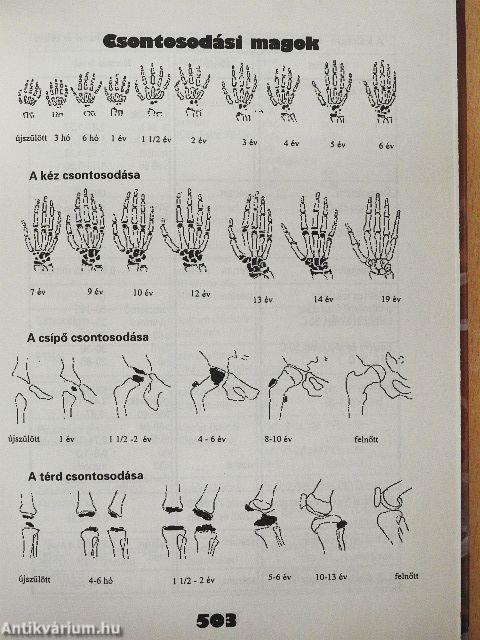 A kalciumháztartás és a csontszövet anyagcsere-betegségei