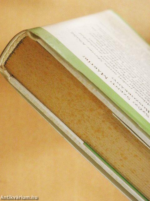 A portobellói boszorkány