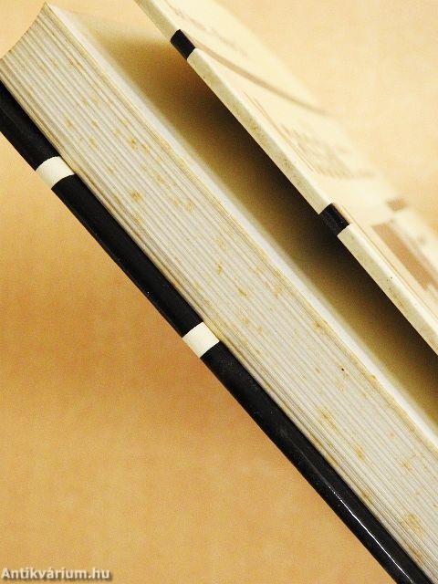 Kassák irodalma és festészete