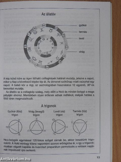 Vetési naptár 2007