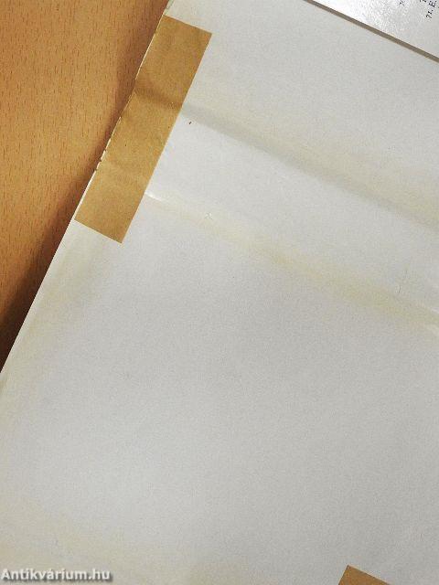 Japán a Kakas évében